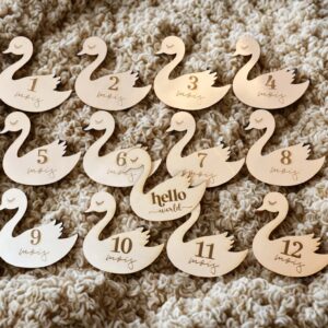 Cartes étapes bébé en bois thème cygne de 1 à 12 mois avec carte Hello World pour photos souvenirs