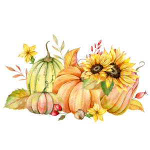 des citrouilles avec des tournesols